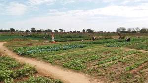 Tuinbouwproject - Kinderen Van Lamin