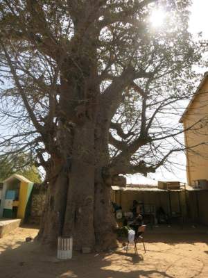 Primary en nursery school - Kinderen Van Lamin