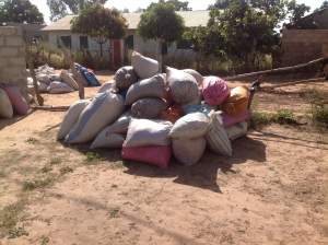 Tuinbouwproject - Kinderen Van Lamin