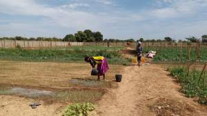 Tuinbouwproject - Kinderen Van Lamin