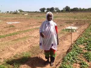 Tuinbouwproject - Kinderen Van Lamin