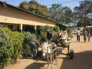 Primary en nursery school - Kinderen Van Lamin